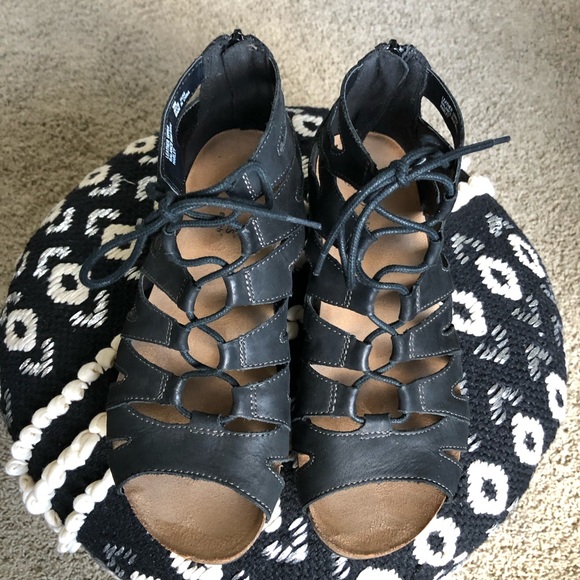 earth origins harley